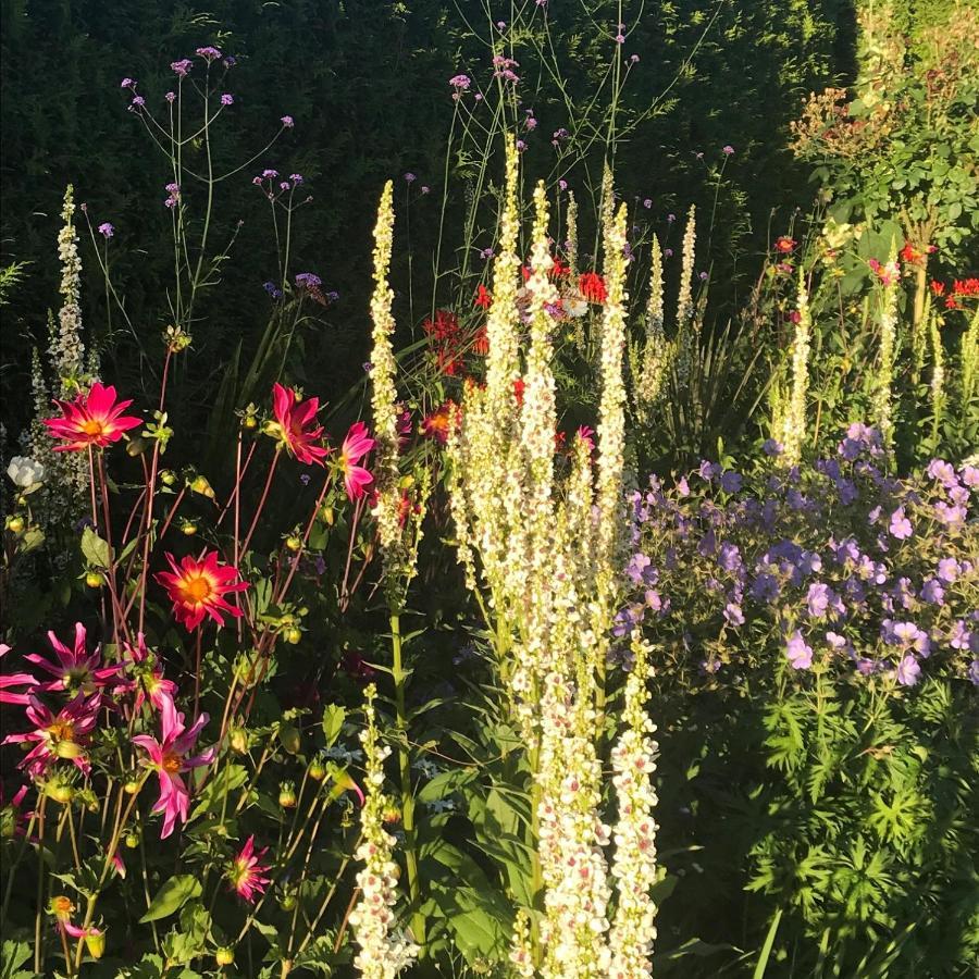 Blaisdon House B&B Longhope Buitenkant foto